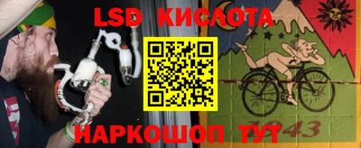 шишки Бийск