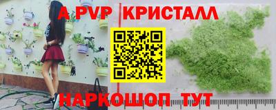 шишки Бийск
